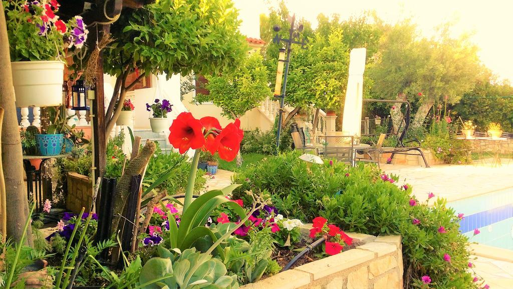 Jacuzzi Pool House Ama5690 Διαμέρισμα Χαλκίδα Εξωτερικό φωτογραφία