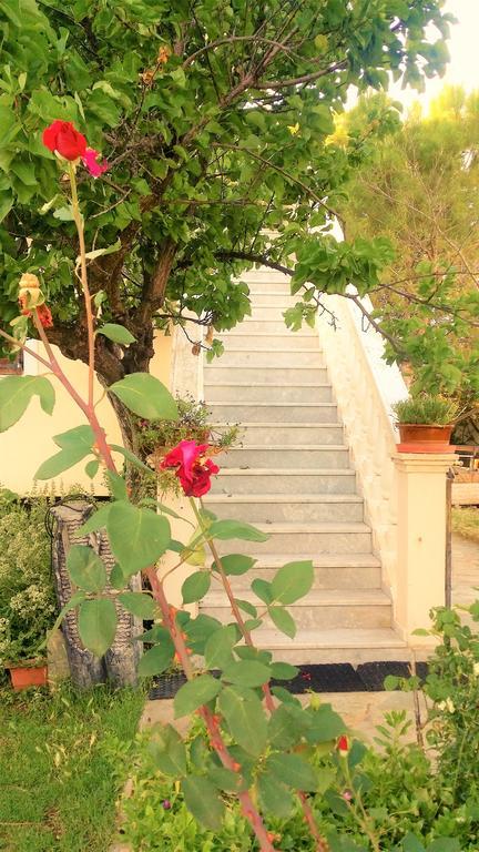 Jacuzzi Pool House Ama5690 Διαμέρισμα Χαλκίδα Εξωτερικό φωτογραφία